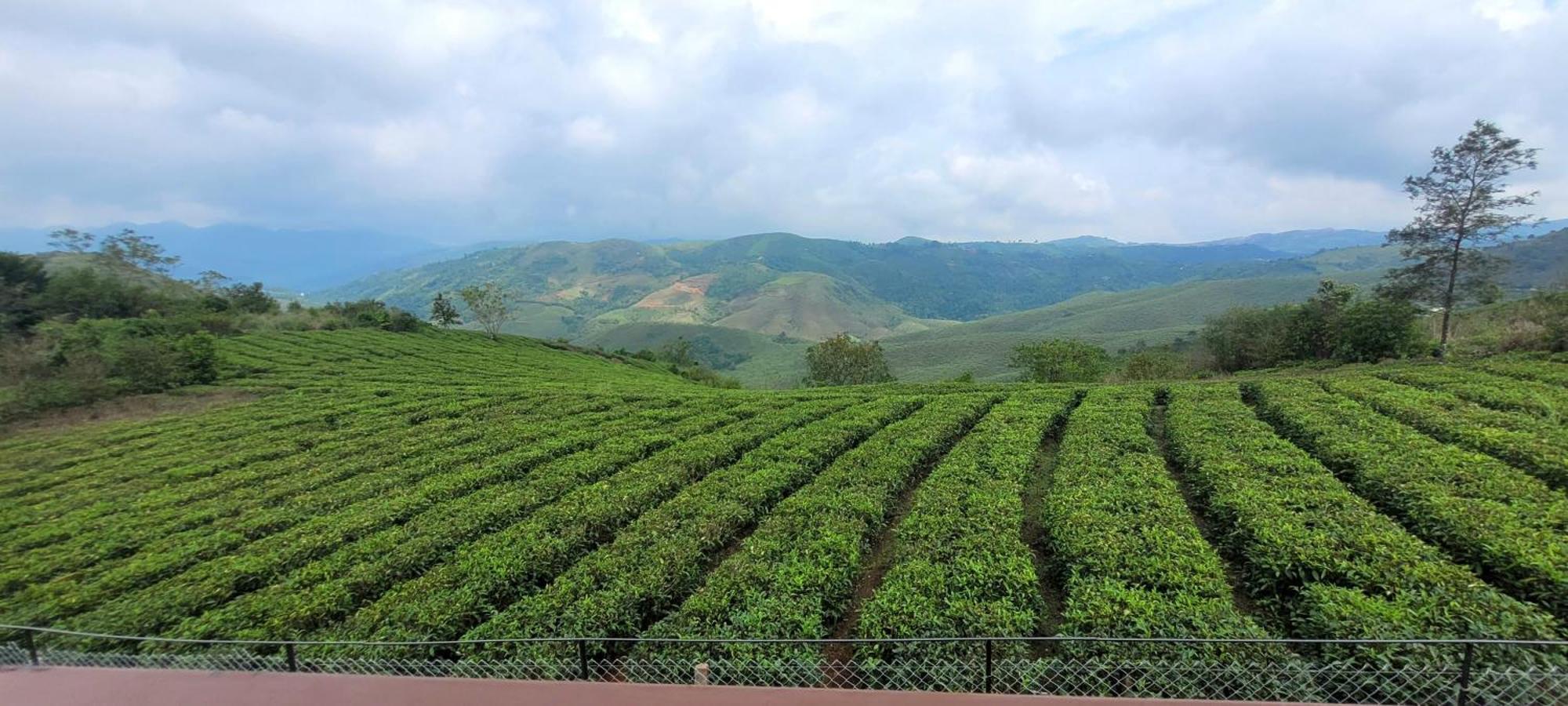 Cloud Canopy - Tea Garden Family Pool Cottage In Vagamon Exteriér fotografie